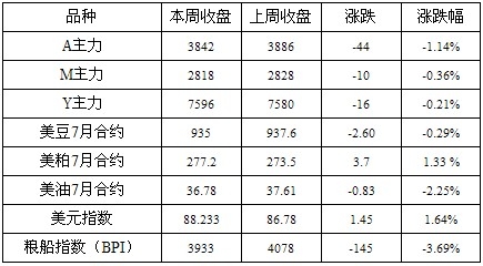 豆類0608.jpg