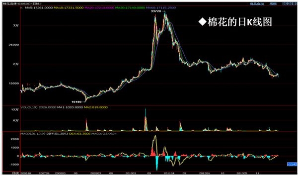 nEO_IMG_德亞報(bào)告會(huì)0831-6.jpg