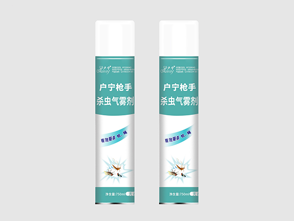 B16戶(hù)寧槍手（淺藍(lán)）殺蟲(chóng)氣霧劑