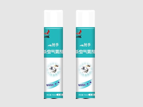 B10二鵬搶手殺蟲(chóng)氣霧劑